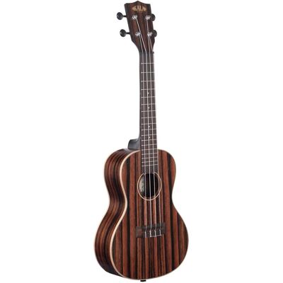 Kala Striped Ebony Concert ukulele Kala Striped Ebony Concert ukulele