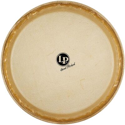 Latin Percussion LP274B MTD Rawhide Conga Head, 11-3/4″ Latin Percussion LP274B MTD Rawhide Conga Head, 11-3/4″