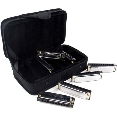 Hohner Blues Harmonica Starter Set Hohner Blues Harmonica Starter Set