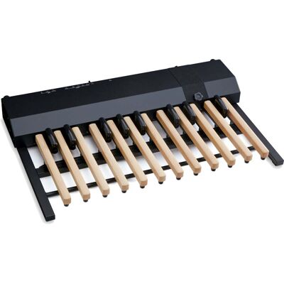 Hammond XPK-200GL 20-tone MIDI bass pedal, wooden keys Hammond XPK-200GL 20-tone MIDI bass pedal, wooden keys