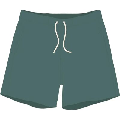 Swim shorts DCK Boardshorts Inglorious Vert 30 Swim shorts DCK Boardshorts Inglorious Vert 30