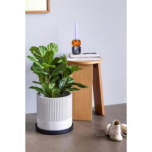 Saucers Hubsch Interior Embrace (x3) Noir 19x2/27x4/33x4 cm Saucers Hubsch Interior Embrace (x3) Noir 19x2/27x4/33x4 cm