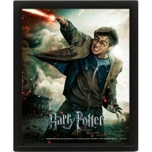 3d lenticular frame Pyramid Harry Potter Expelliarmus Noir 20.5x4.5x25.5 cm 3d lenticular frame Pyramid Harry Potter Expelliarmus Noir 20.5x4.5x25.5 cm