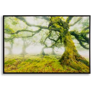 Star print wall decoration with forest frame Mauro Ferretti Laccata Multicolore 90x4x60 cm Star print wall decoration with forest frame Mauro Ferretti Laccata Multicolore 90x4x60 cm