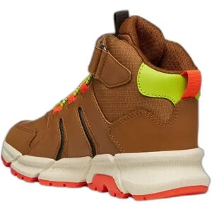 Children's Trainers Geox Flexyper Plus ABX Marron 37 Children's Trainers Geox Flexyper Plus ABX Marron 37