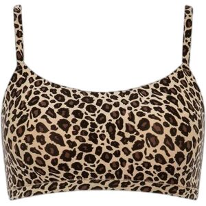 Women’s padded bra Chantelle SoftStretch Marron XS/S Women’s padded bra Chantelle SoftStretch Marron XS/S