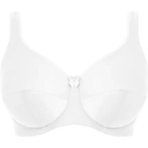 Women's smooth cotton polyester bra Fantasie Speciality Blanc 100H Women's smooth cotton polyester bra Fantasie Speciality Blanc 100H