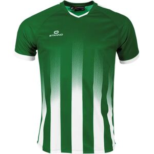 Children's jersey Stanno Vivid Vert Unisex 8 years Children's jersey Stanno Vivid Vert Unisex 8 years