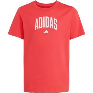 Long sleeve T-shirt adidas Collegiate Graphic Rouge Unisex 9/10 years Long sleeve T-shirt adidas Collegiate Graphic Rouge Unisex 9/10 years