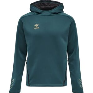 Hoodie Hummel hmlCIMA Bleu Male S Hoodie Hummel hmlCIMA Bleu Male S