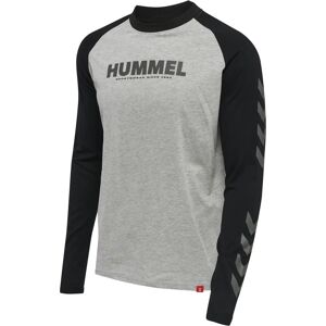 Long sleeve T-shirt Hummel Legacy Blocked Gris Unisex 2XS Long sleeve T-shirt Hummel Legacy Blocked Gris Unisex 2XS