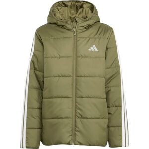 Children's down jacket adidas Essentials 3-Stripes Vert Unisex 15/16 years Children's down jacket adidas Essentials 3-Stripes Vert Unisex 15/16 years