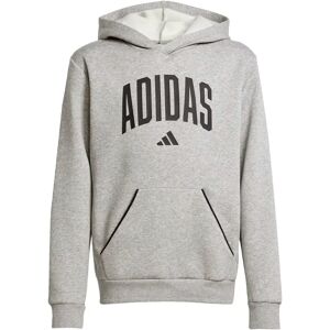 Child hoodie adidas Essentials Collegiate Typography Gris Unisex 11/12 years Child hoodie adidas Essentials Collegiate Typography Gris Unisex 11/12 years