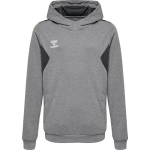 Children's polyester hoodie Hummel Authentic Gris Unisex 14 years Children's polyester hoodie Hummel Authentic Gris Unisex 14 years