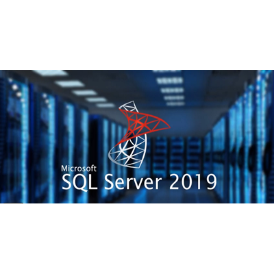 Microsoft Windows Sql Server 2019 Standard - Cals Included Microsoft Windows Sql Server 2019 Standard - Cals Included