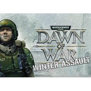 Warhammer 40 000 Dawn of War - Winter Assault EN Global Steam Key