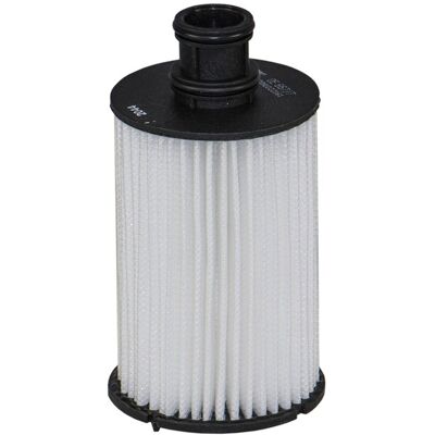 Filtron OE 667/7 - Oil Filter for Jaguar & Land Rover Filtron OE 667/7 - Oil Filter for Jaguar & Land Rover