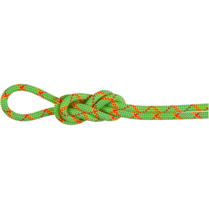 Mammut Impregnated, dynamic double rope with high cut resistance 8.0 Alpine Core Protect Dry Rope 30m - halo-vibrant orange, 30 m Mammut Impregnated, dynamic double rope with high cut resistance 8.0 Alpine Core Protect Dry Rope 30m - halo-vibrant orange, 30 m
