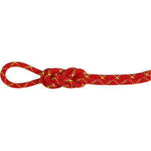 Mammut Impregnated, dynamic double rope with high cut resistance 8.0 Alpine Core Protect Dry Rope 40m - fire-halo, 40 m Mammut Impregnated, dynamic double rope with high cut resistance 8.0 Alpine Core Protect Dry Rope 40m - fire-halo, 40 m