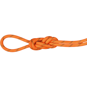 Mammut Double rope for climbing and mountaineering 8.0 Alpine Dry Rope 60m - vibrant orange-boa, 60 m Mammut Double rope for climbing and mountaineering 8.0 Alpine Dry Rope 60m - vibrant orange-boa, 60 m
