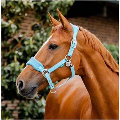 Horseware - Signature Grooming - Headcollar - Blue Black One Size Horseware - Signature Grooming - Headcollar - Blue Black One Size