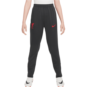 Nike - Liverpool FC Strike 3e tenue - Boys Trousers - Black Black EUR 42 Nike - Liverpool FC Strike 3e tenue - Boys Trousers - Black Black EUR 42