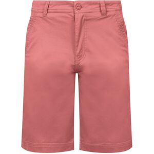 Weird Fish - Rayburn Flat Front - Mens Shorts - Pink Pink 34 Waist Weird Fish - Rayburn Flat Front - Mens Shorts - Pink Pink 34 Waist