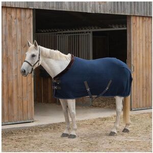 Ride & Rug - 400729 - Rug - Blue Black S Ride & Rug - 400729 - Rug - Blue Black S