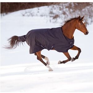 COVALLIERO - Rugbe Standard Neck 600D 100G - Turnout Rug - Blue Blue One Size COVALLIERO - Rugbe Standard Neck 600D 100G - Turnout Rug - Blue Blue One Size
