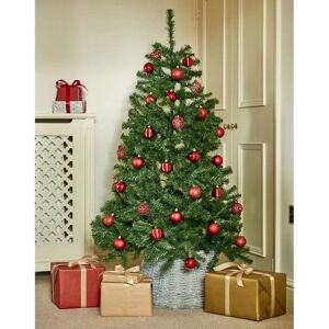 National Tree Company 10' North Valley Spruce Hinged Tree National Tree Company 10' North Valley Spruce Hinged Tree