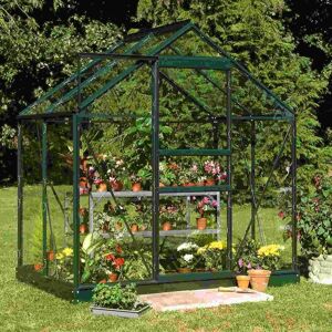 Halls Popular Greenhouse 6x6 - Aluminium, Green, 3mm Glass - Garden Greenhouse Halls Popular Greenhouse 6x6 - Aluminium, Green, 3mm Glass - Garden Greenhouse