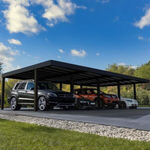 Palram-Canopia Oslo Black Double Carport 6X12 Palram-Canopia Oslo Black Double Carport 6X12