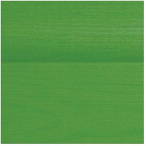 Protek Wood Stain & Protector 2.5 Litre Colour: Grass Green, Size: Protek Wood Stain & Protector 2.5 Litre Colour: Grass Green, Size: