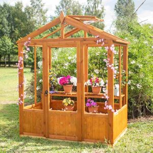 Shire Holkham 6X4 Victorian Greenhouse Assembly Option: No Assembly Shire Holkham 6X4 Victorian Greenhouse Assembly Option: No Assembly