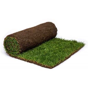 Rolawn Medallion Turf - 1m Rolls x 60 Rolawn Medallion Turf - 1m Rolls x 60