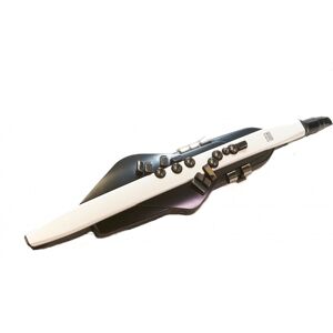 Roland Aerophone AE-20 Digital Wind Instrument - Ex Demo Roland Aerophone AE-20 Digital Wind Instrument - Ex Demo