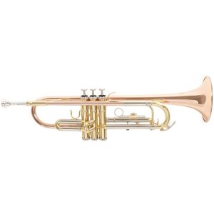 Roy Benson TR202 Trumpet Gold Brass Bell Roy Benson TR202 Trumpet Gold Brass Bell