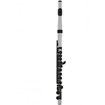 Nuvo Student Flute Outfit Metallic Silver Nuvo Student Flute Outfit Metallic Silver