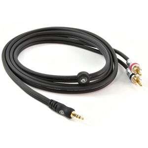 Planet Waves RCA to Stereo Minijack Cable 5ft Planet Waves RCA to Stereo Minijack Cable 5ft