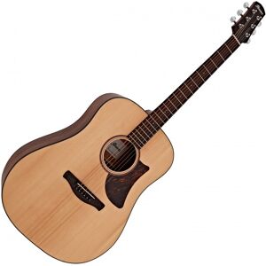 Ibanez AAD100 Advanced Open Pore Natural Ibanez AAD100 Advanced Open Pore Natural