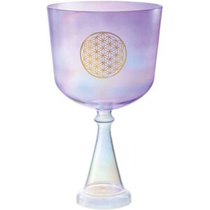 Meinl Sonic Energy Crystal Singing Chalice 8" / 20 cm Note F3 Meinl Sonic Energy Crystal Singing Chalice 8" / 20 cm Note F3