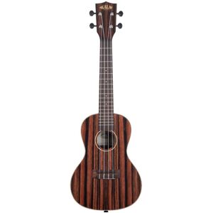 Kala KA-EBY-C Striped Ebony Acoustic Concert Ukulele Satin Kala KA-EBY-C Striped Ebony Acoustic Concert Ukulele Satin