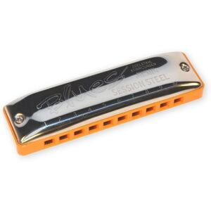 Seydel Harmonicas Seydel 1847 Session Steel Melodic Maker Harmonica D Seydel Harmonicas Seydel 1847 Session Steel Melodic Maker Harmonica D