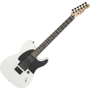 Fender Jim Root Telecaster Flat White Fender Jim Root Telecaster Flat White