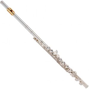 Yamaha YFL312 Student Model Flute Gold Lip Plate Yamaha YFL312 Student Model Flute Gold Lip Plate