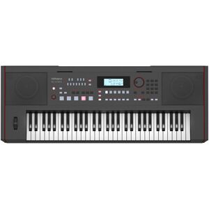 Roland E-X50 Arranger Keyboard Roland E-X50 Arranger Keyboard