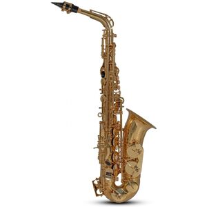 Roy Benson AS202 Alto Saxophone Gold Roy Benson AS202 Alto Saxophone Gold