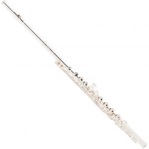 Roy Benson FL402E Flute Roy Benson FL402E Flute