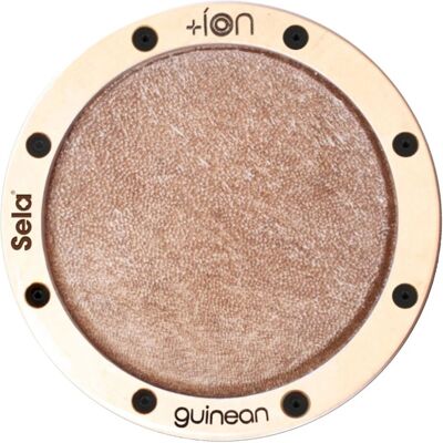 Sela Ion for Iconic Cajon Guinean Sela Ion for Iconic Cajon Guinean