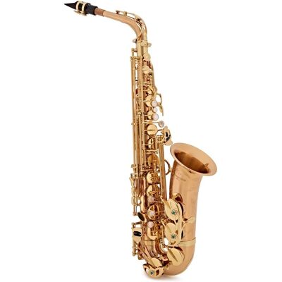 Yanagisawa AWO2 Alto Saxophone Bronze Yanagisawa AWO2 Alto Saxophone Bronze